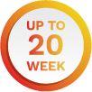 20 week courses